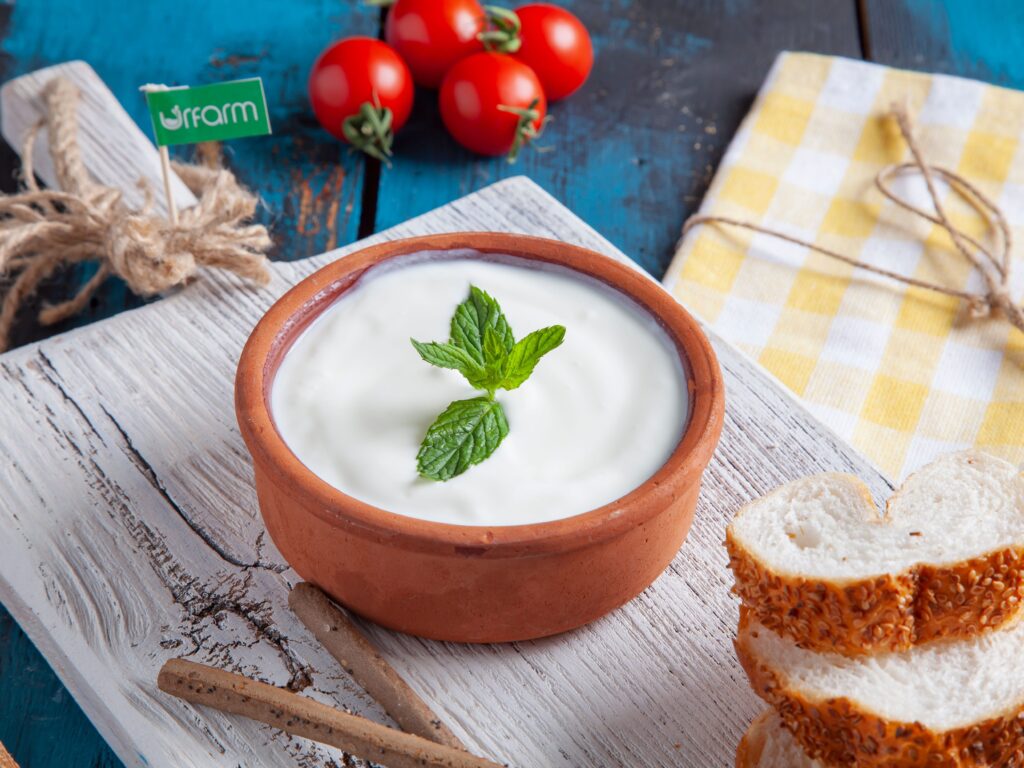 Plain yogurt in a dog bowl