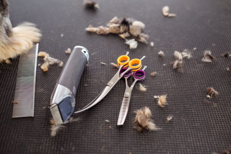Dog Grooming Guide: How to Groom Your Dog at Home