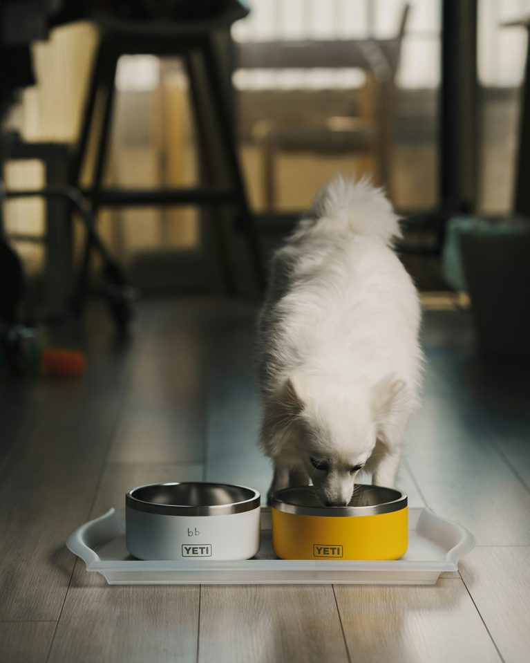 25 Must-Have Dog Products Every Dog Owner Needs